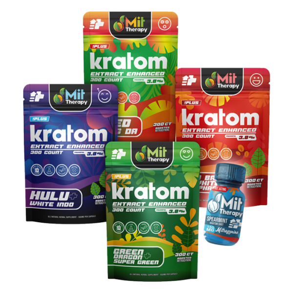 MIT 300 Bundle